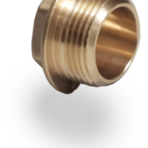 Brass Flanged Plug BSPP